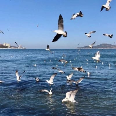 زبیر رحمان avatar